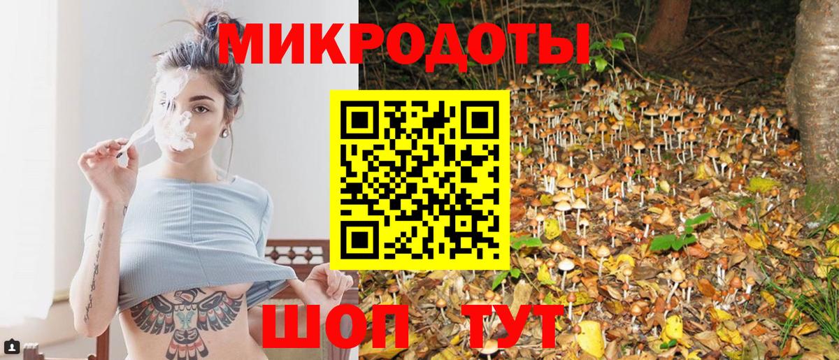 Галлюциногенные грибы MAGIC MUSHROOMS Нижний Новгород