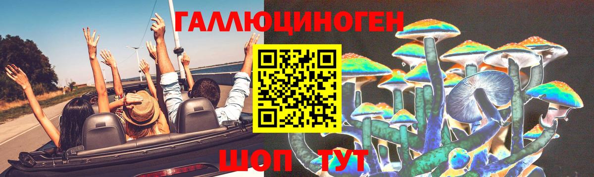 Псилоцибиновые грибы Psilocybine cubensis  Вход с VPN  купить закладку  Нижний Новгород  Псилоцибиновые грибы GOLDEN TEACHER 